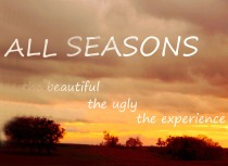all-seasons-red-gray-blog2_4269
